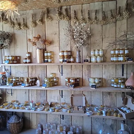 A Coeur D'hetre 住宿加早餐酒店 Estaing (Hautes-Pyrenees)